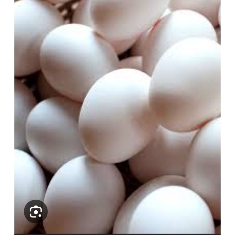 

TELUR AYAM KAMPUNG 1 butir