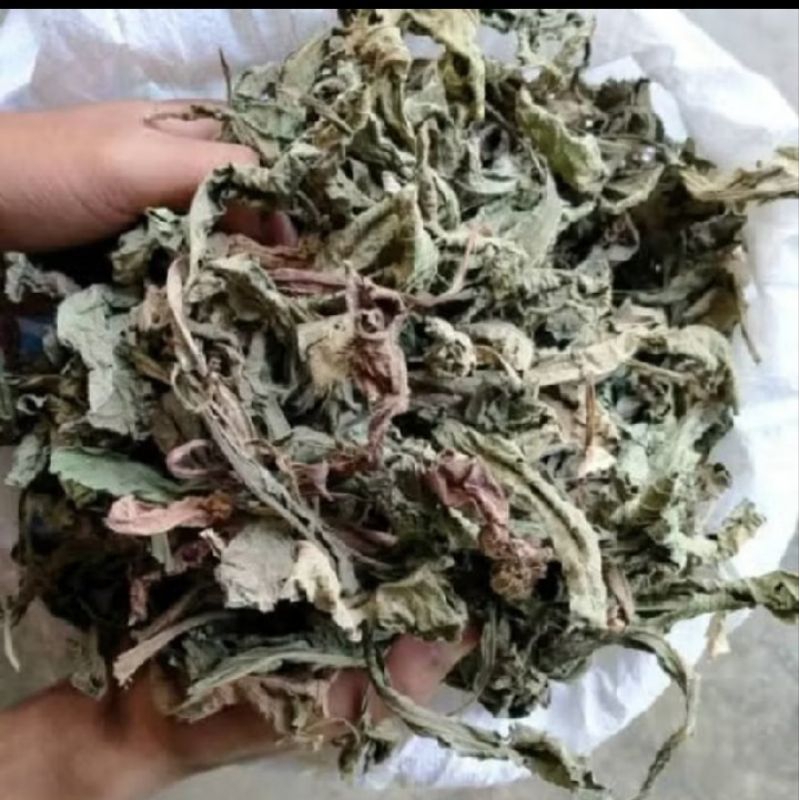 

daun tapak liman kering kualitas bagus 1kg/daun tapak liman bubuk murni organik