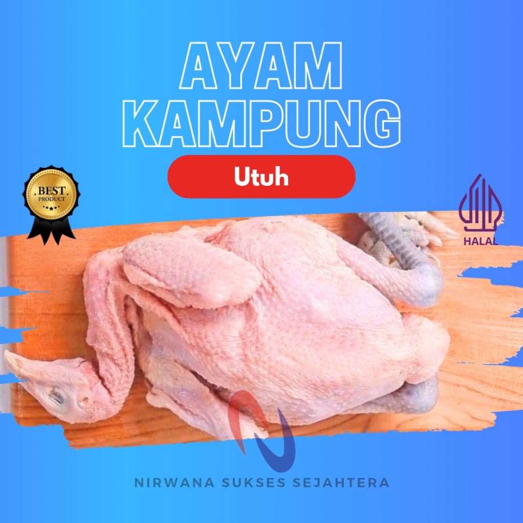 

AYAM KAMPUNG, AYAM KAMPUNG ASLI A.K.A UTUH / WHOLE KAMPOENG CHICKEN
