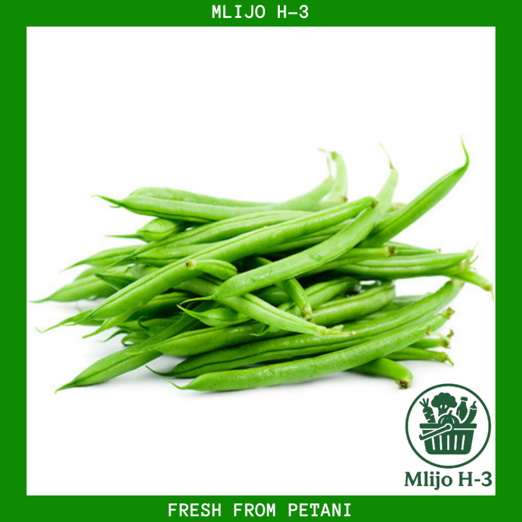 

Sayuran Buncis Segar Muda, 100 gr