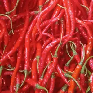 

Cabe Merah Keriting 500g