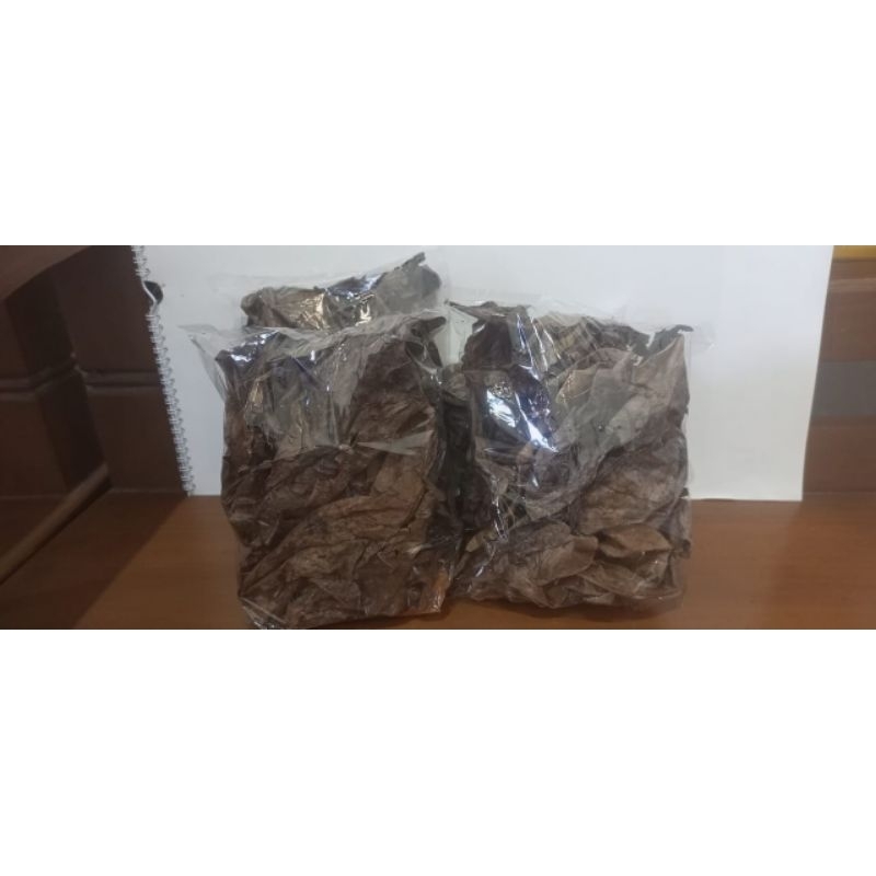 

Daun Ketapang kering