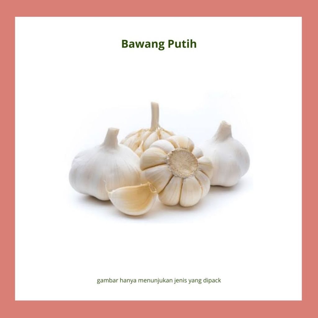 

bawang putih segar bawang putih kulit