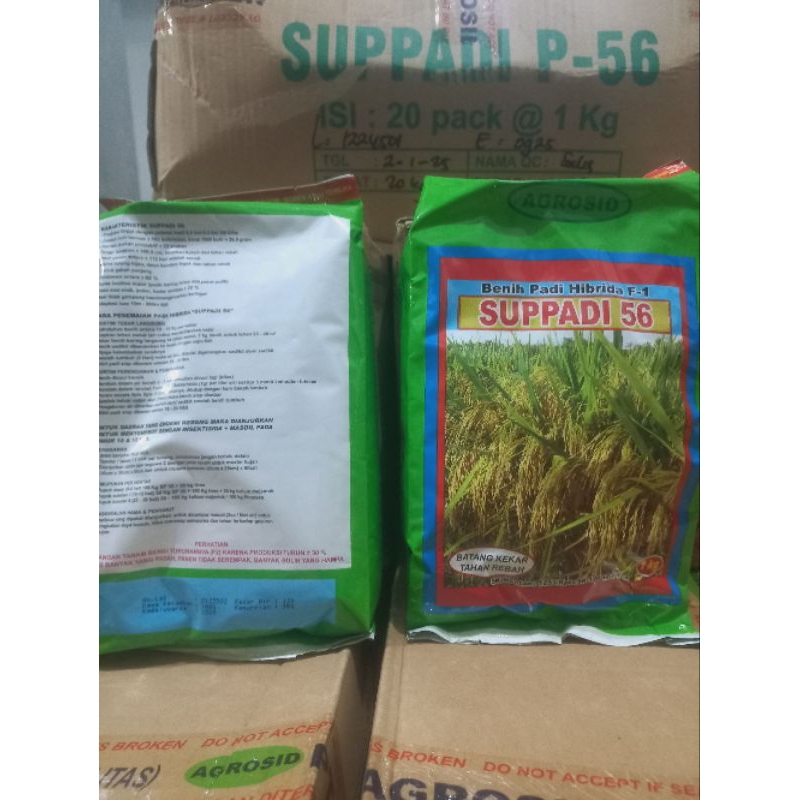 SUPPADI 56 Benih padi Hibrida F1 100% original