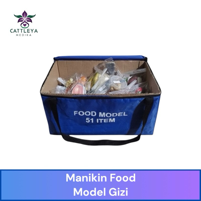 Phantom Manikin Food Makanan Model Gizi / Manekin Alat Peraga Food Model Gizi Isi 51 pcs