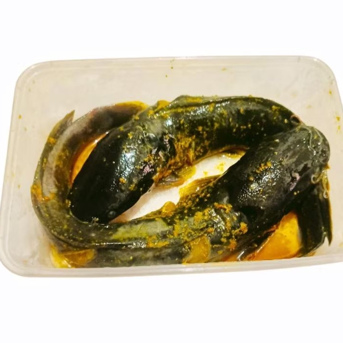 

Ikan Lele Marinasi Berbumbu Lengkap Siap Goreng Fresh Frozen Seafood Ikan Air Tawar