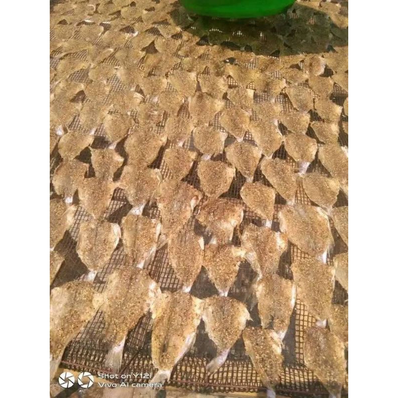 

ikan asin khas ciparage jaya