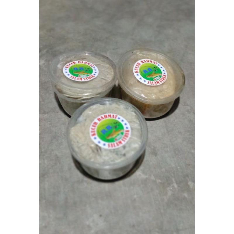 Umpan Kucur Rahmat RR