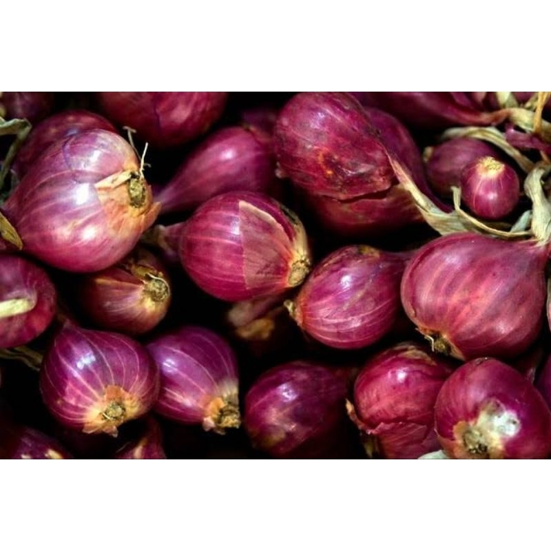 

Bawang merah lokal super ukuran 500g