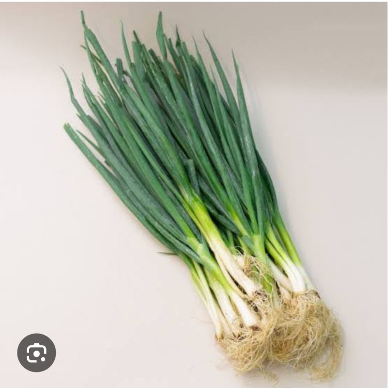 

DAUN BAWANG