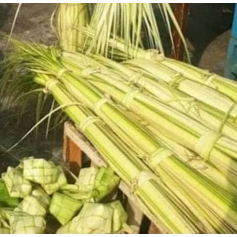

DAUN KELAPA MUDA/JANUR KUNING 20 PCS #JANUR