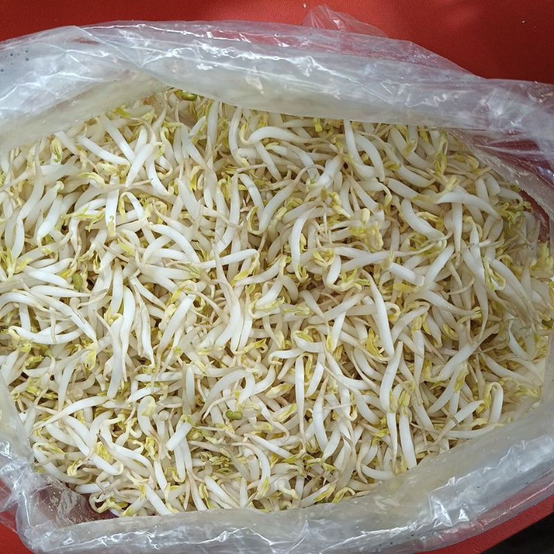 

Toge biasa 500gr