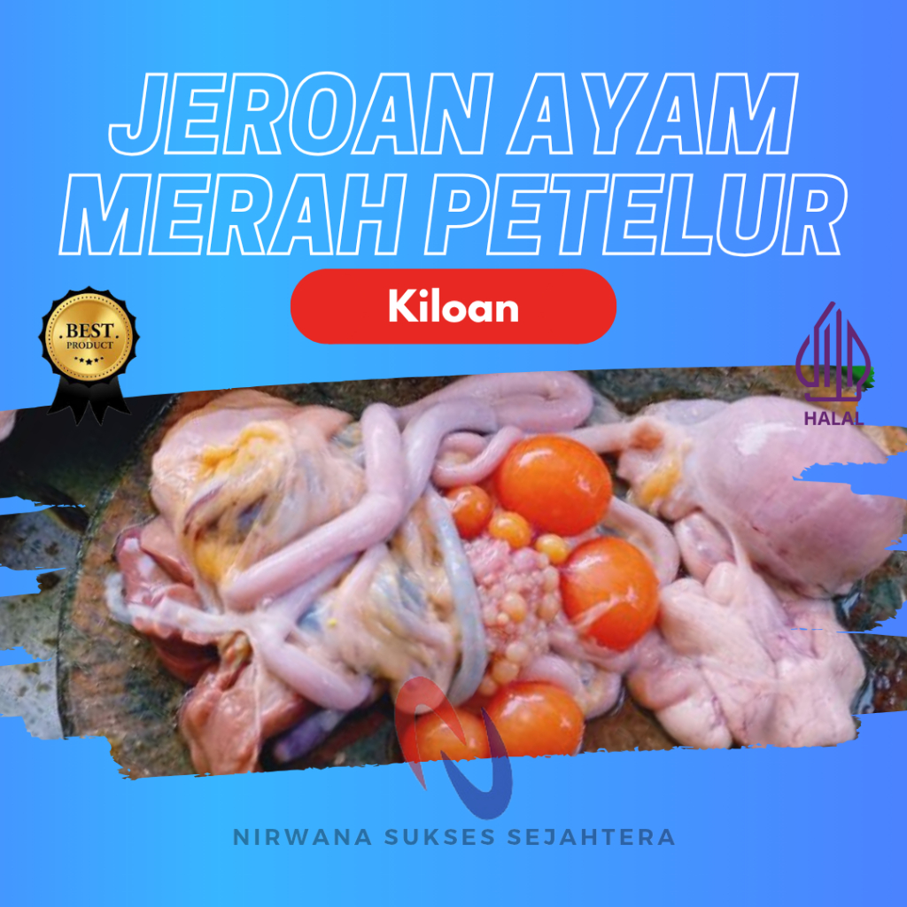

JEROAN AYAM MERAH PETELUR / RED LAYING HEN INNARD