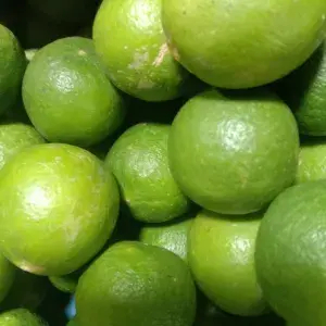 

jeruk nipis