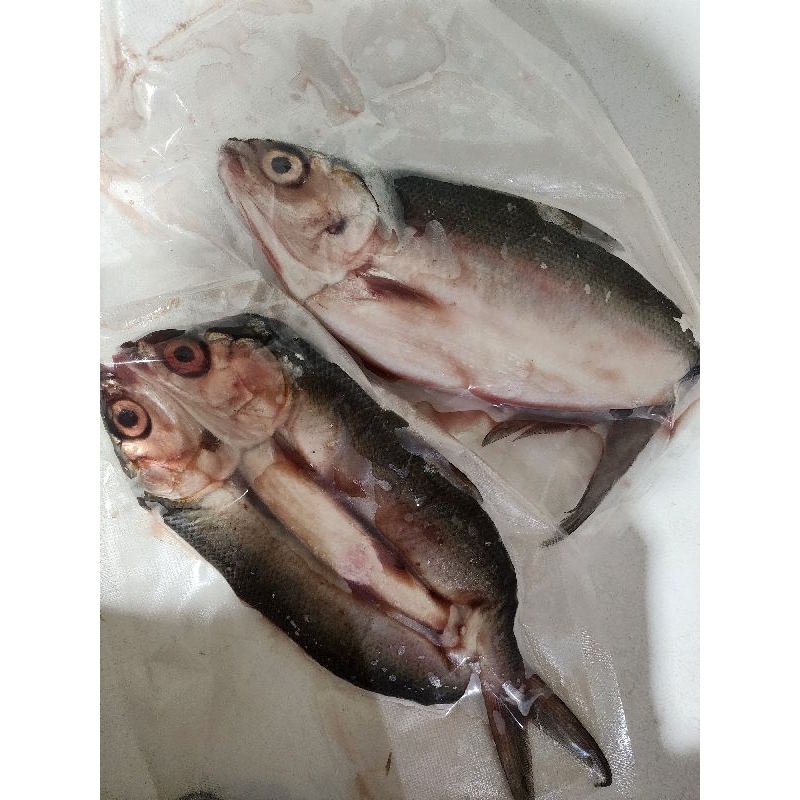 

Bandeng fresh cabut duri