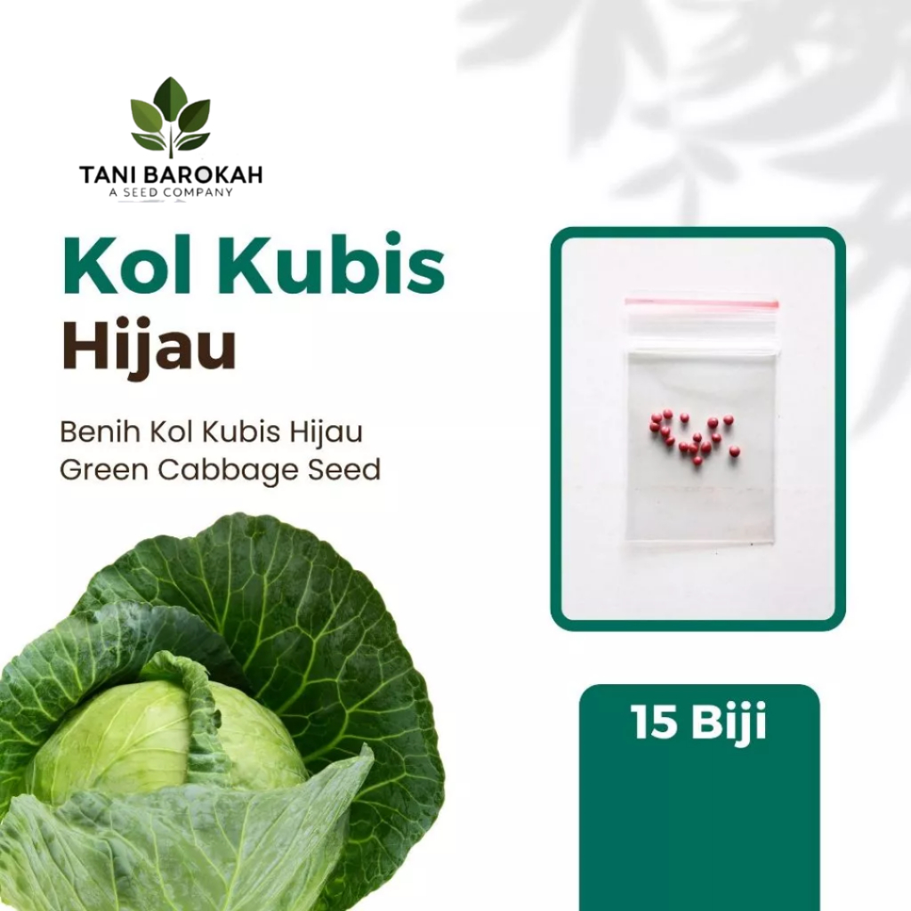 

Aneka Bibit Sayuran Daun Sayur Hidroponik Varian Unggulan