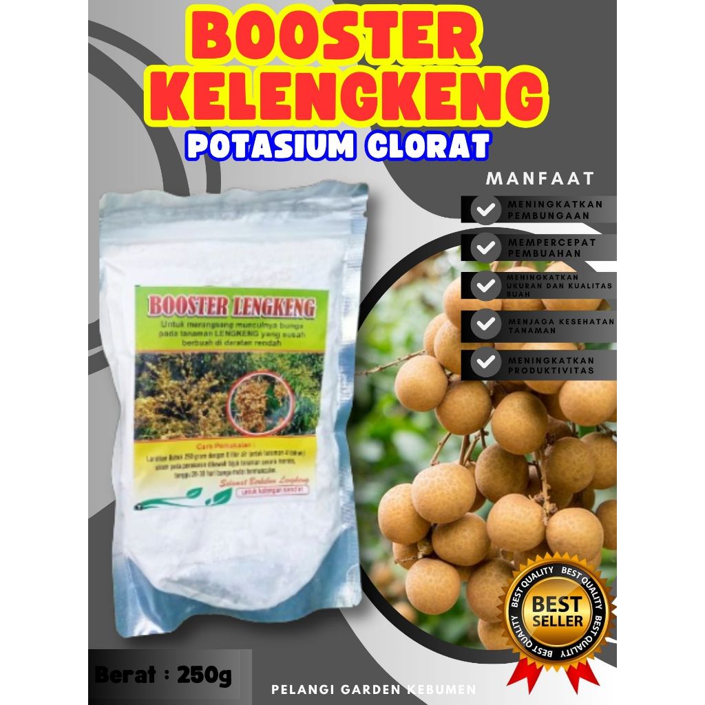 UNGGULAN  Booster Buah Kelengkeng Cangkokan