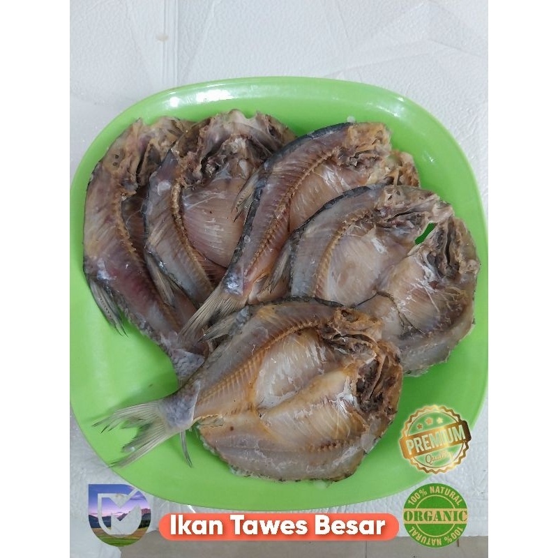 

Ikan Tawes kering Besar