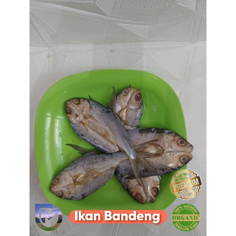 

Cahayadstore Ikan Asin Bandeng (Milkfish) Kering