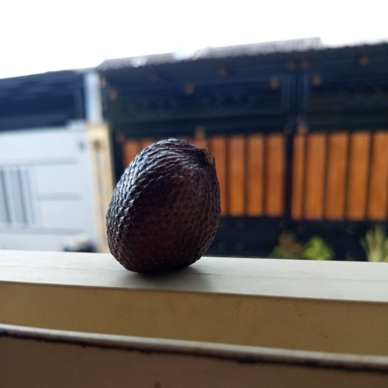 

buah salak 6500 1kg