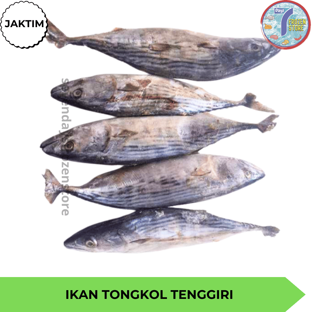 

DA Ikan Tongkol Tenggiri Beku Frozen
