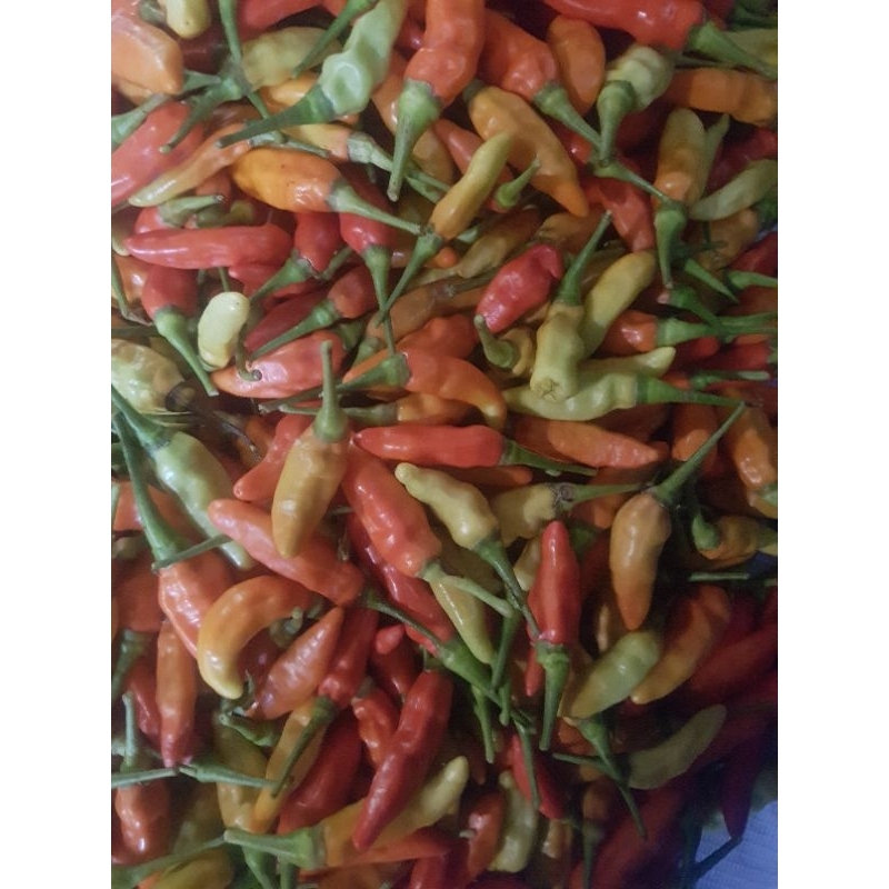 

cabe ori dan asmoro 250gr 500gr 1kg