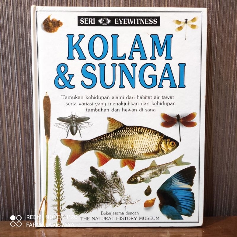 Buku Seri Eyewitness Jilid 6 Kolam & Sungai