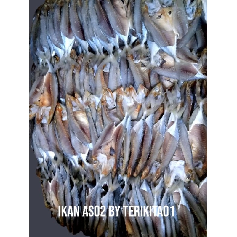 

IKAN ASIN ASO ASLI AIBOLGA – GURIH & AROMA KHAS | 100 gr / 250gr / 500gr