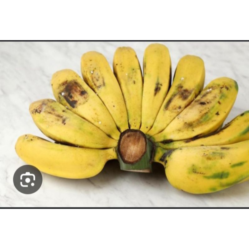 

pisang kepok matang dan mentah per 1 kg