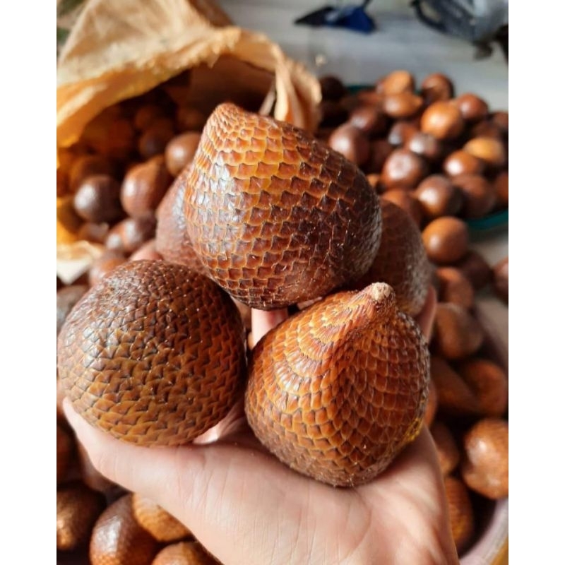 

Salak Pondoh Jumbo Asli Sleman Yogyakarta – Fresh & Manis | 1kg