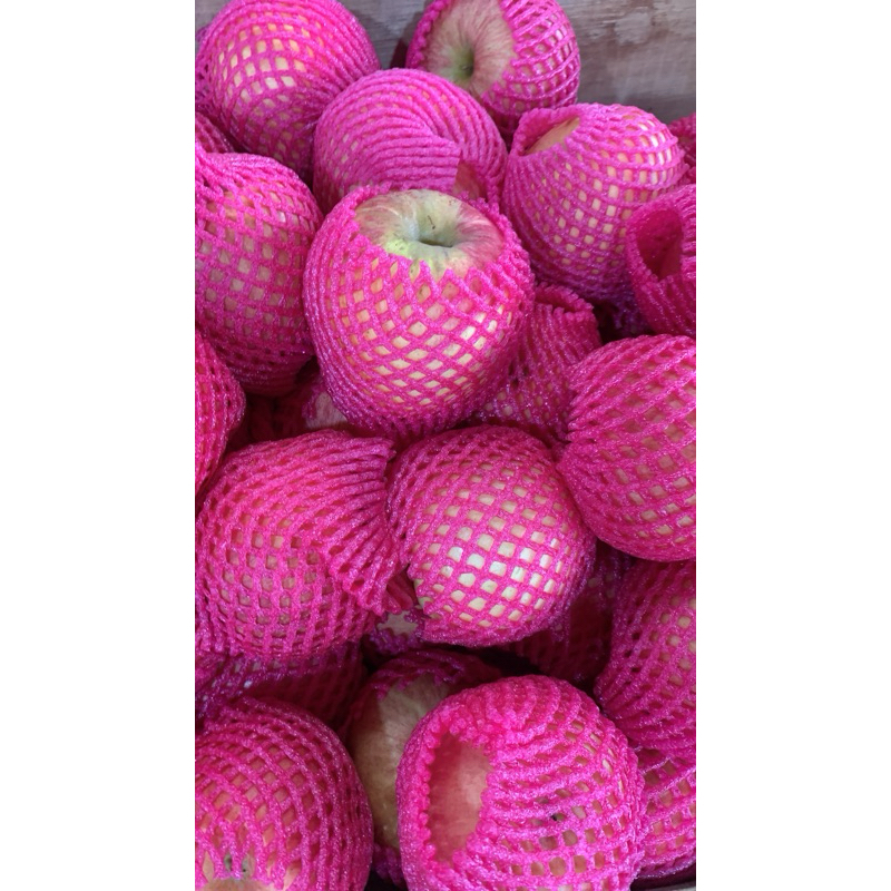 

APEL FUJI (Ukuran 72/64)