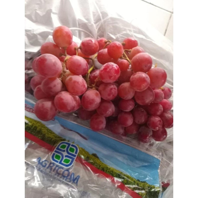 

Anggur Red Globe Peru 1kg – Manis Banget & Segar