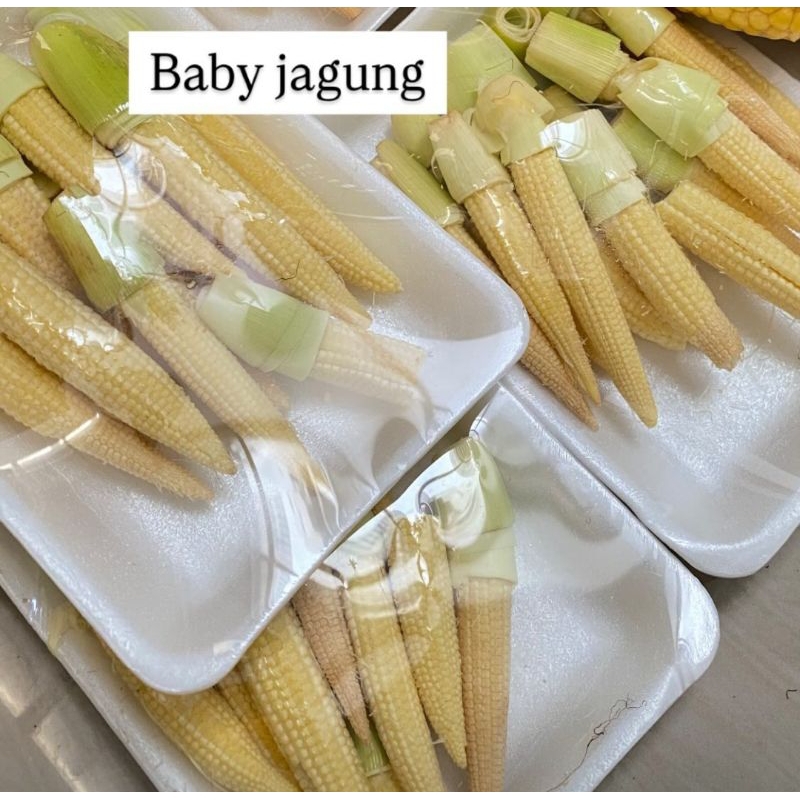 

baby jagung jagung mini