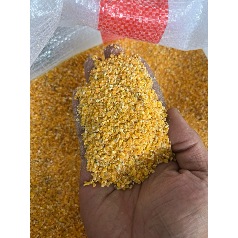 

jagung giling menir/ jagung lembut / menir jagung