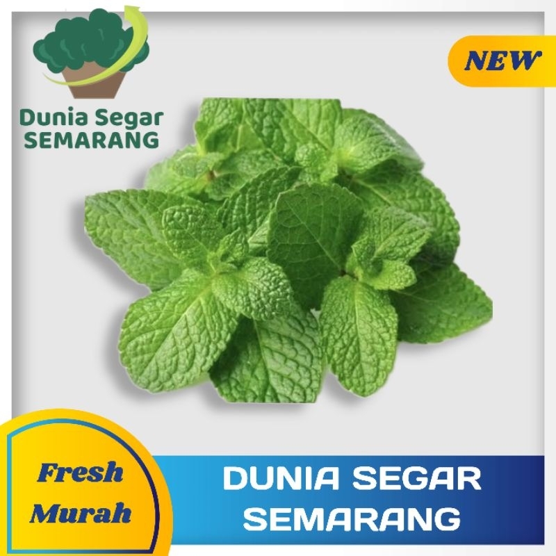

Daun Mint Segar 100 gr