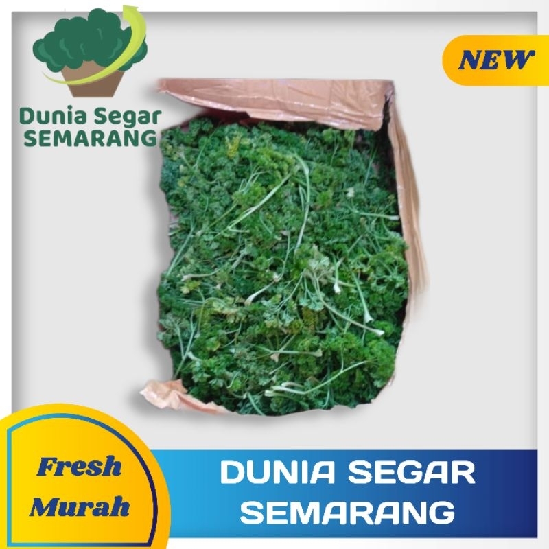 

Daun Parsley Segar 100 gr