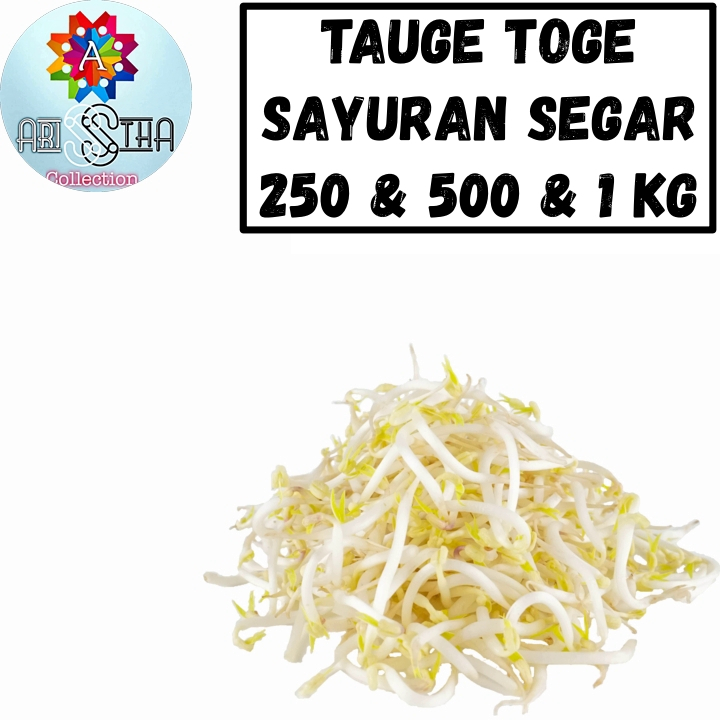

Tauge Toge Sayur Mentah Segar 250 dan 500 dan 1 Kg