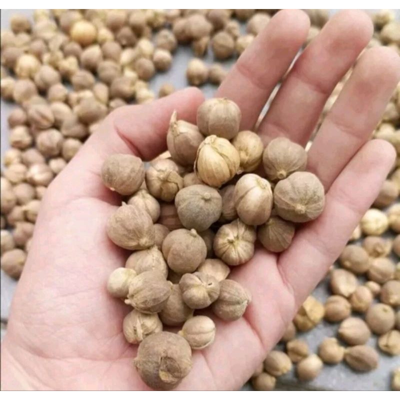 

kapulaga kering 10gr