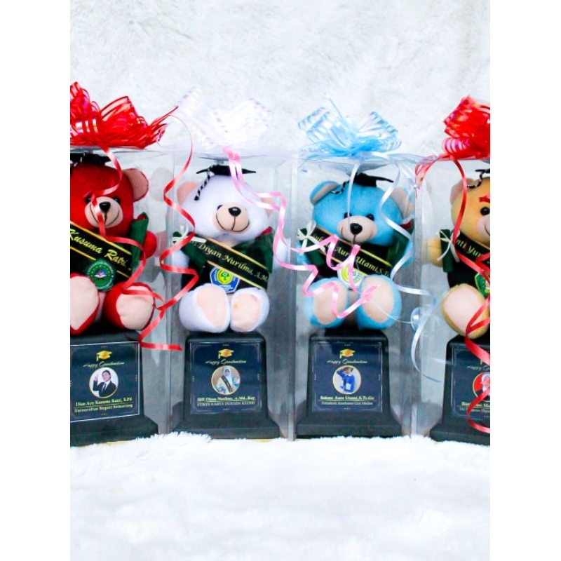 READY 1 HARI PROSES TANPA PO  PIALA BONEKA  WISUDA BEAR MURAH