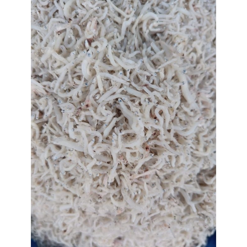 

teri nasi kecil