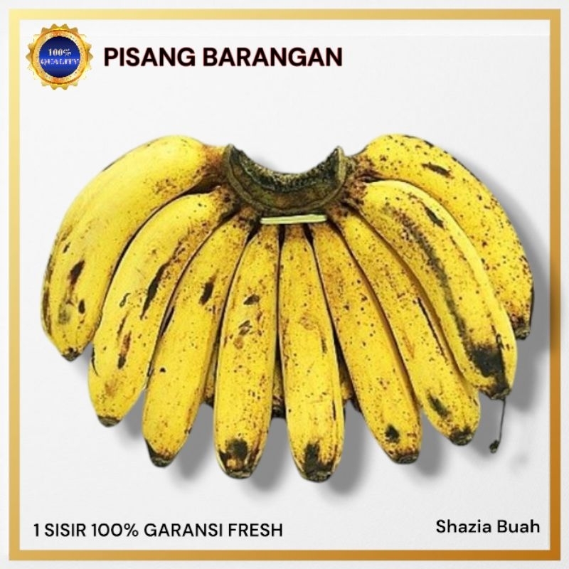 

Pisang Barangan 1 Sisir