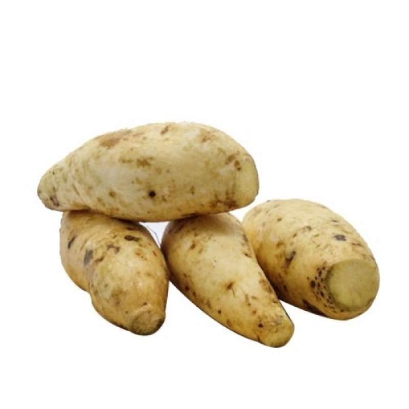 

Ubi Putih 2Kg