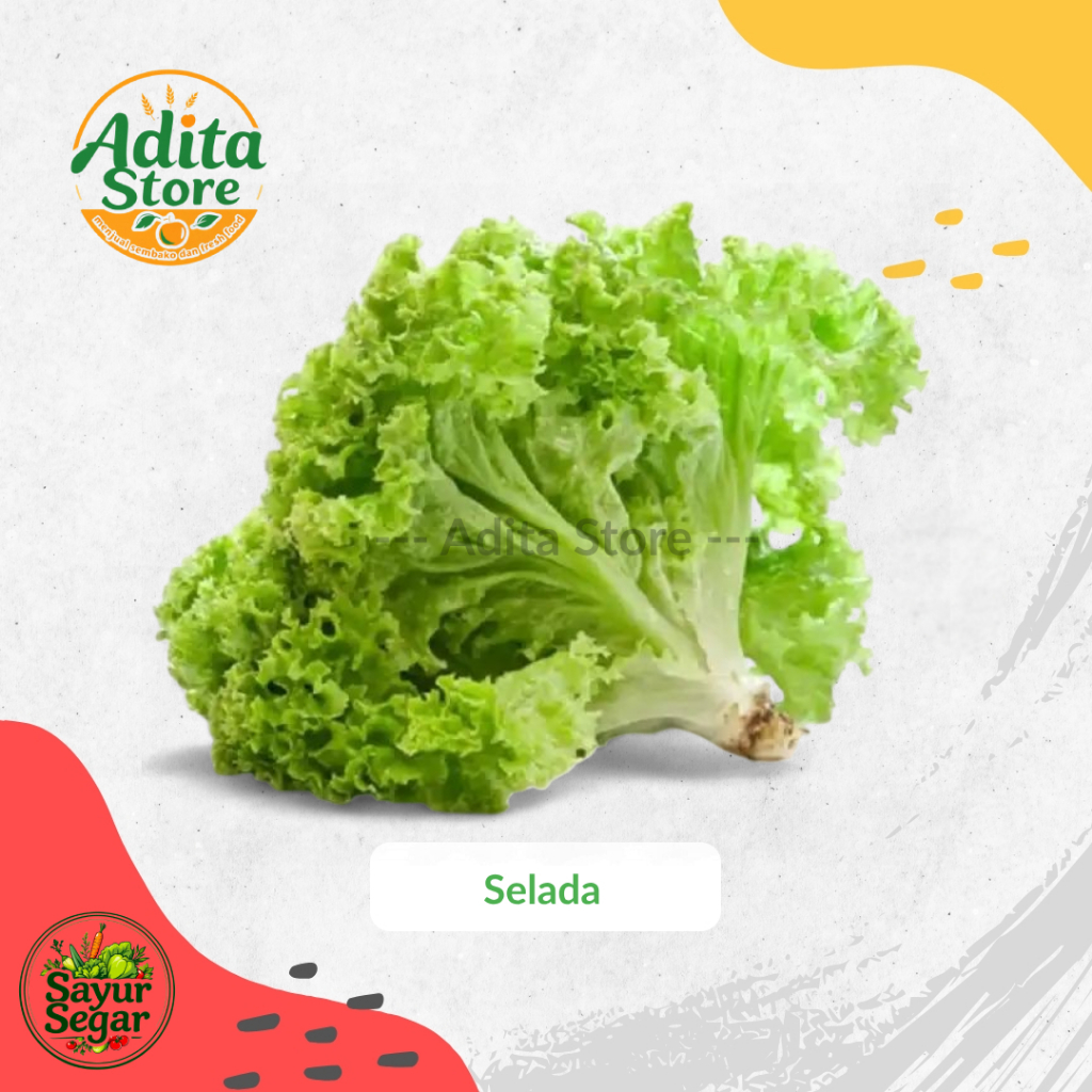 

Selada Keriting Fresh | Selada Air