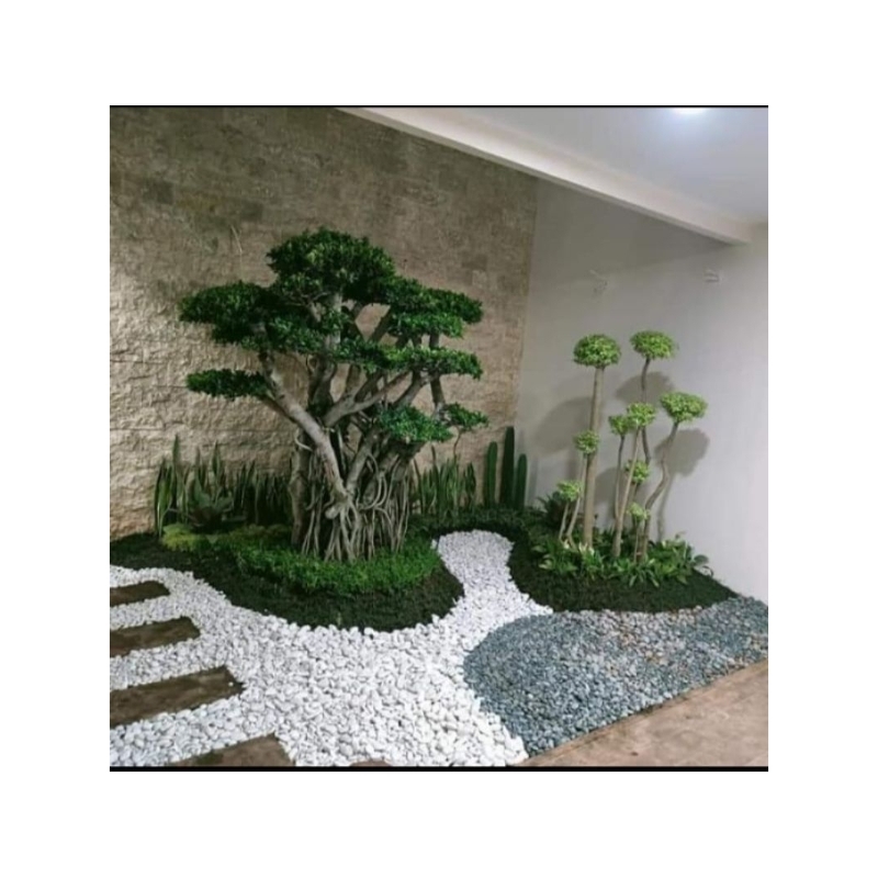 jasa pembuatan taman rumah minimalis