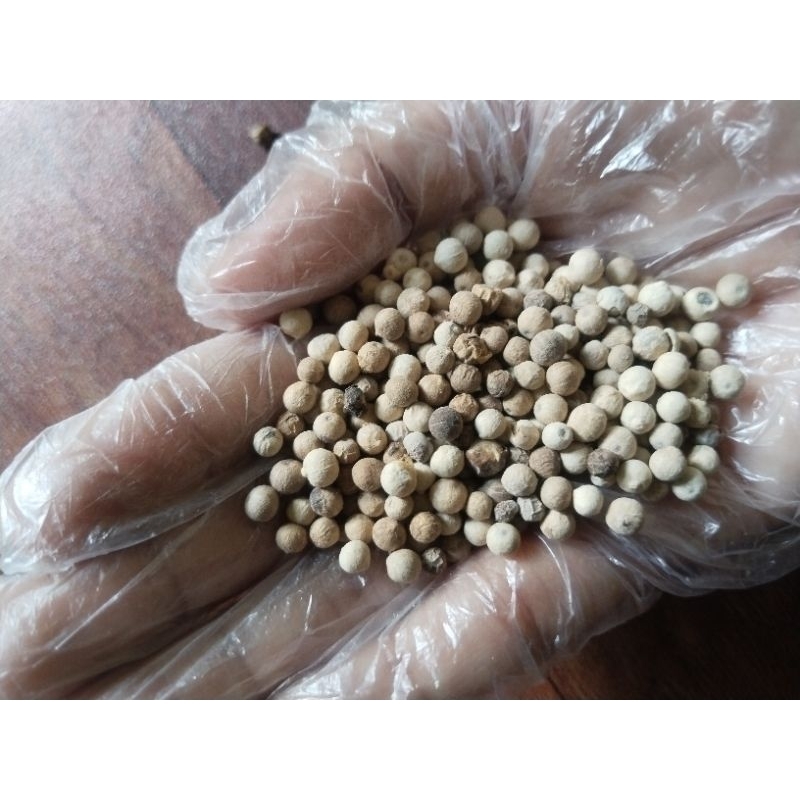 

150 gram Lada Putih Utuh Kualitas Super