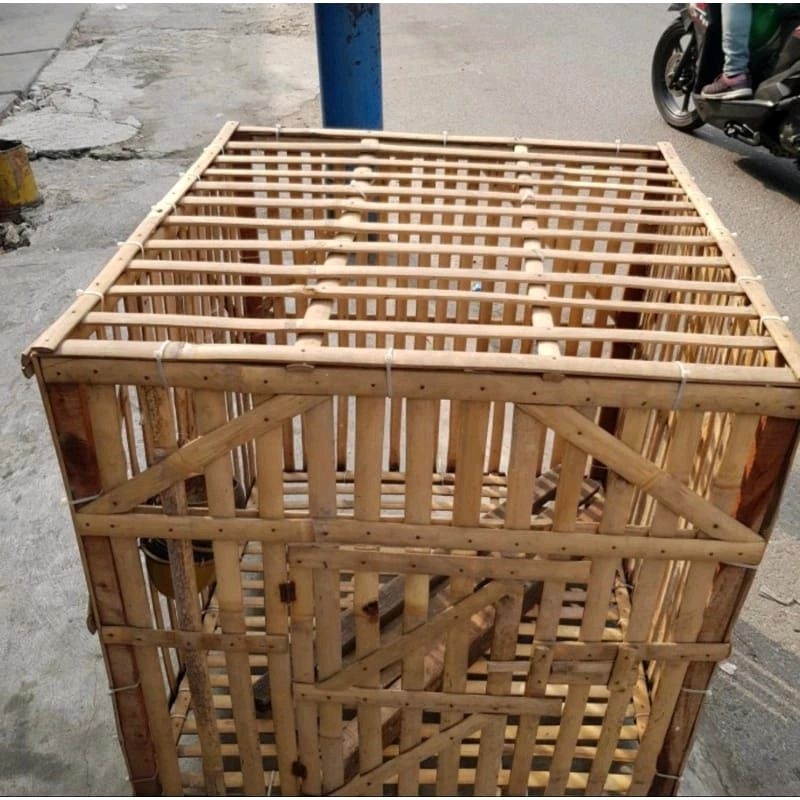 KANDANG AYAM BONGKAR PASANG SANGKAR AYAM BAMBU RAKIT