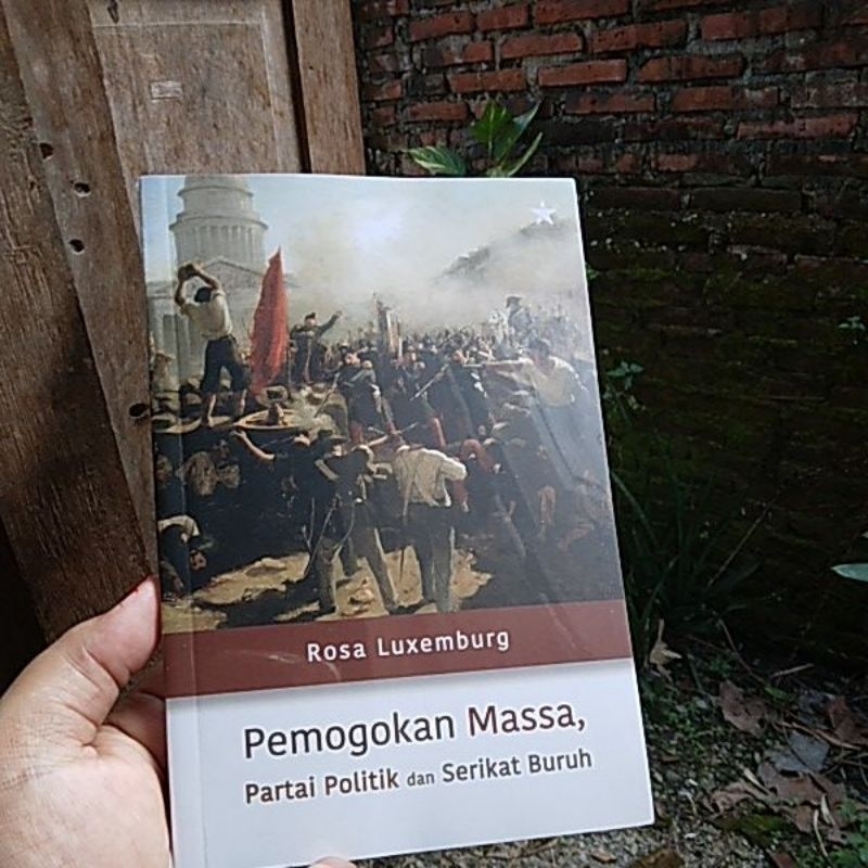 Pemogokan Massa, Partai Politik dan Serikat Buruh