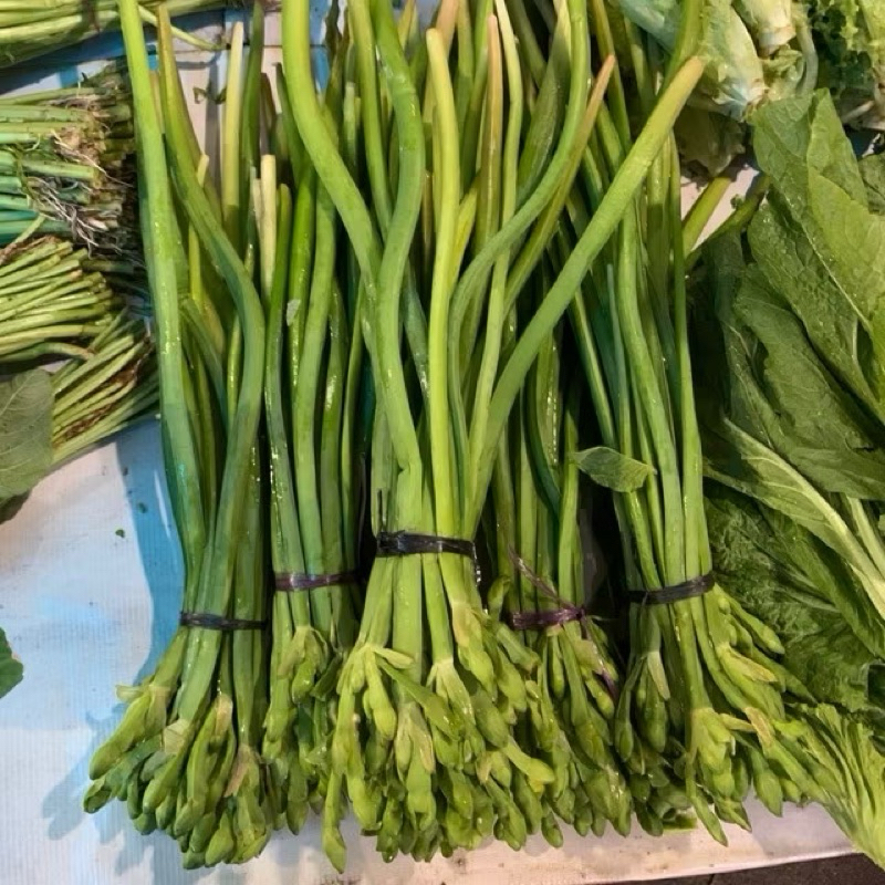 

genjer hijau segar 1 ikat