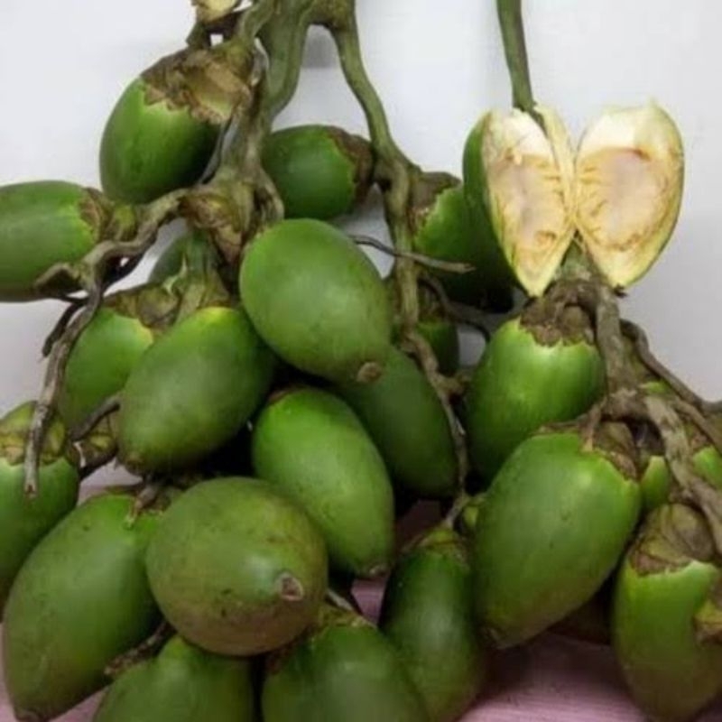 

Buah Pinang Muda Jambe - Pinang Muda Fresh 500gr