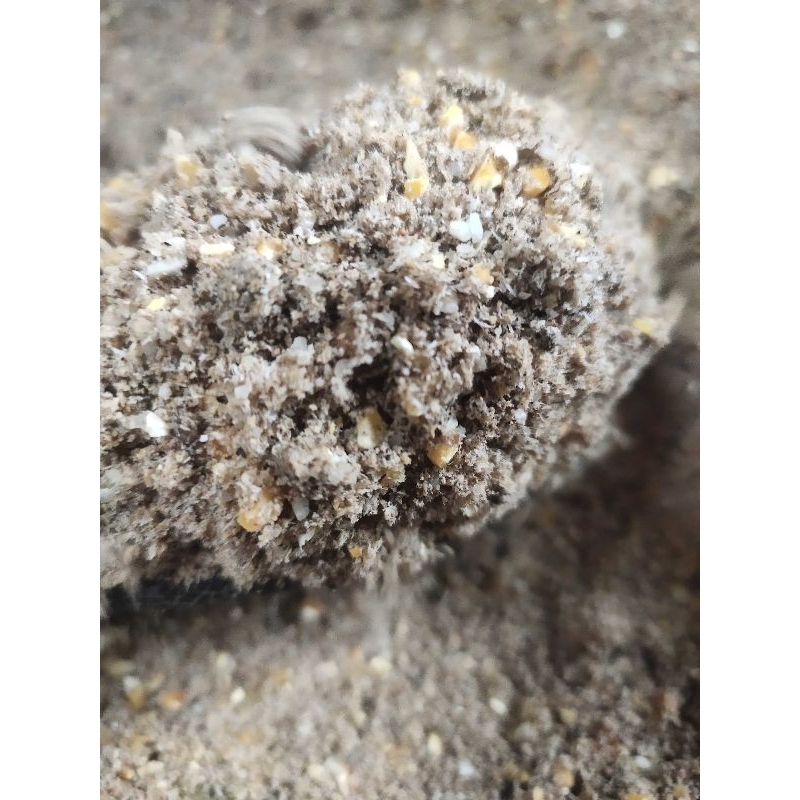 MAKRIFATDIGITAL Paket  3 Kg Pakan Ayam  Skala Rumahan Feed Mix Fermentasi Kering Beras Jagung Menir 